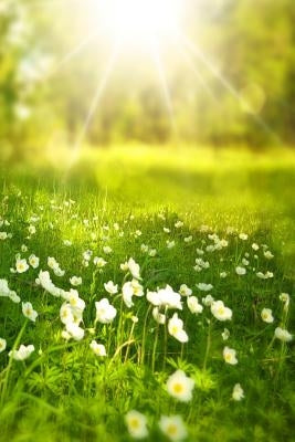 Spring: Spring Is One of the Four Conventional Temperate Seasons, Following Winter and Preceding Summer. There Are Various Tec by Journals, Planners and