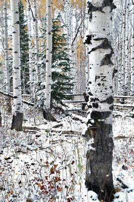 Going It Alone by Zarzyski, Paul