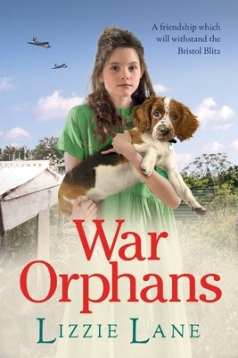 War Orphans by Lane, Lizzie