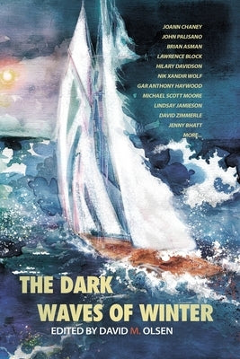 The Dark Waves of Winter by Olsen, David M.