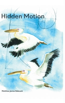 Hidden Motion by Babcock, Matthew