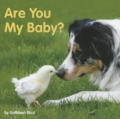 Are You My Baby? by Rizzi, Kathleen