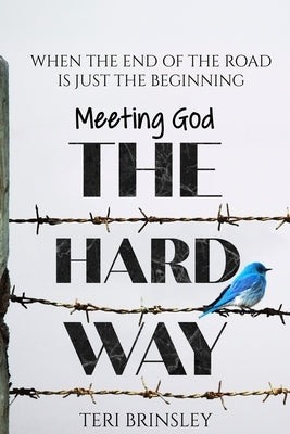 Meeting God The Hard Way: When The End Of The Road Is Just The Beginning by Brinsley, Teri