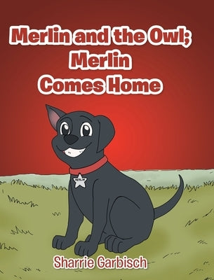 Merlin and the Owl: Merlin Comes Home by Garbisch, Sharrie
