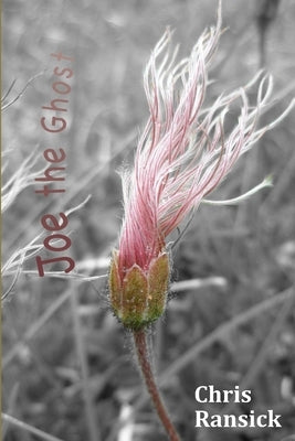 Joe The Ghost by Ransick, Chris