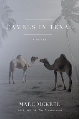 Camels in Texas by McKeel, Marc
