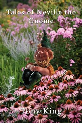 Tales of Neville the Gnome by King, Tony