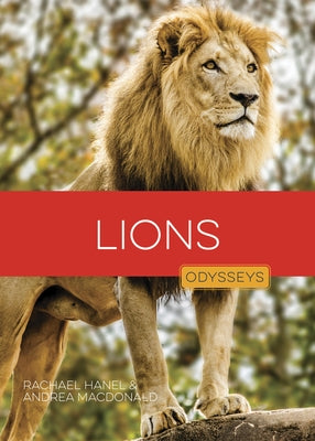 Lions by Hanel, Rachael