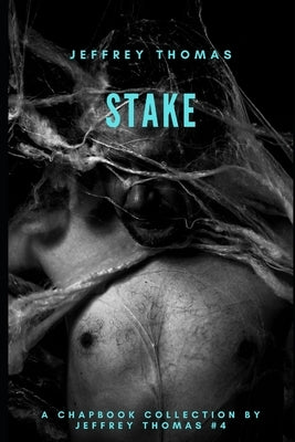 Stake: Three Stories From Punktown by Thomas, Jeffrey