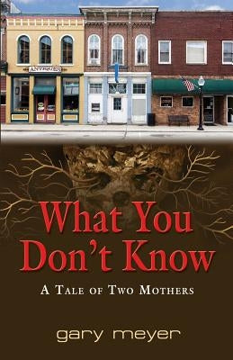 What You Don't Know by Meyer, Gary