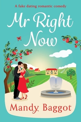 Mr Right Now by Baggot, Mandy