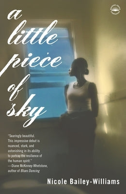 A Little Piece of Sky by Williams, Nicole Bailey