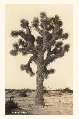 Vintage Journal Joshua Tree by Found Image Press