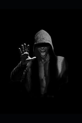 The Fugitive by McGhee, Lonnie M., Jr.