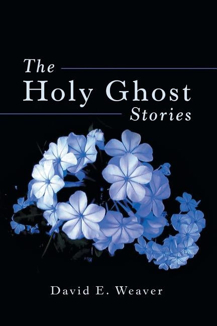 The Holy Ghost Stories by Weaver, David E.