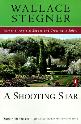 A Shooting Star by Stegner, Wallace