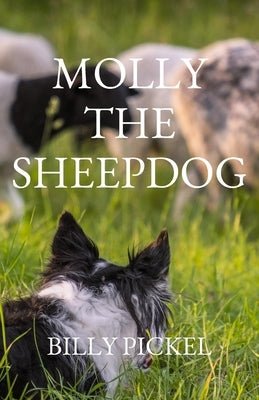 Molly the Sheepdog by Pickel, Billy