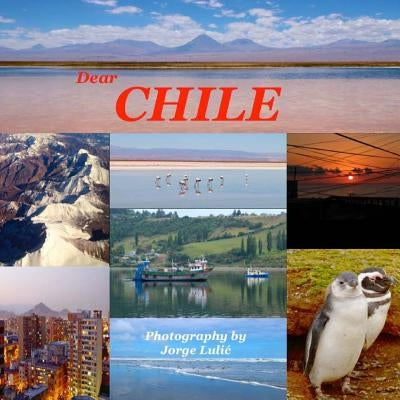 Dear Chile by Lulic, Jorge