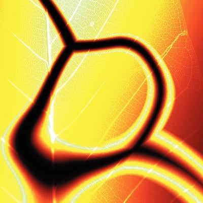 In Your Face by Reynolds, Eva Iglesias