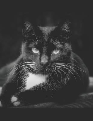 Black Cat Sheet Music Paper: For Composers and Musicians by Essentials, Pagan