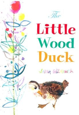 The Little Wood Duck by Wildsmith, Brian