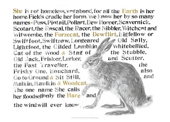 The Names of the Hare Poster by Morris, Jackie