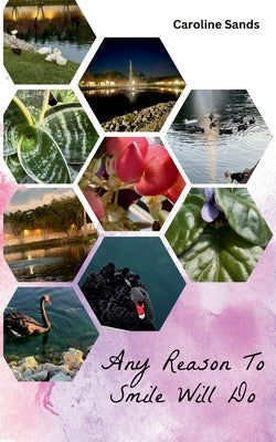 Any Reason To Smile Will Do by Sands, Caroline