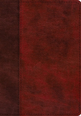 ESV Single Column Journaling Bible, Large Print (Trutone, Burgundy/Red, Timeless Design) by