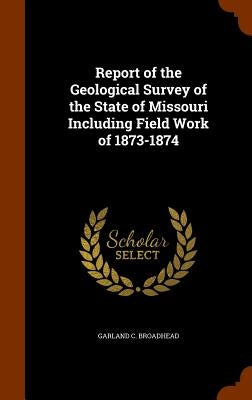Report of the Geological Survey of the State of Missouri Including Field Work of 1873-1874 by Broadhead, Garland C.