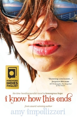 I Know How This Ends by Impellizzeri, Amy