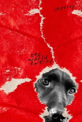 The World Entire by Perry, Jo