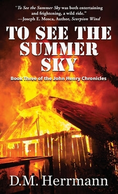 To See the Summer Sky: Book Three of the John Henry Chronicles by Herrmann, D. M.