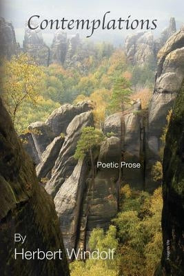 Contemplations by Windolf, Herbert