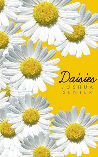 Daisies by Senter, Joshua