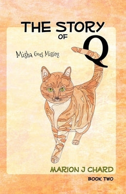 The Story of Q - Misha Goes Missing by Richey, Karla Rado