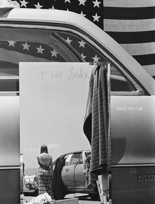 Mimi Plumb: Blazing Light by Plumb, Mimi