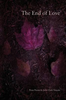 The End of Love by Vincent, John C.