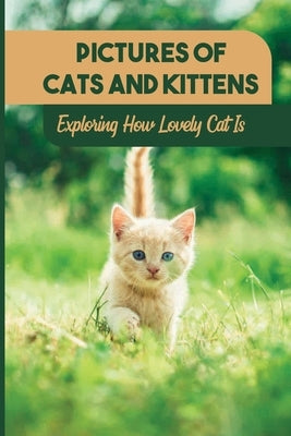 Pictures Of Cats And Kittens: Exploring How Lovely Cat Is: Real Pictures Of Kittens by Heinzelman, Lyndon