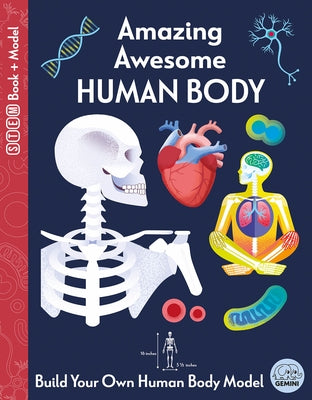 Amazing Awesome Human Body by Mayes, Susan