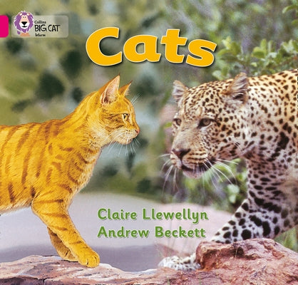 Cats: Band 01b/Pink B by Llewellyn, Claire