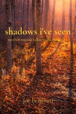shadows i've seen by Beninati, Joe
