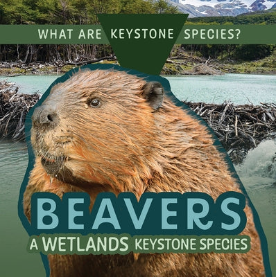 Beavers: A Wetlands Keystone Species by Klatte, Kathleen A.
