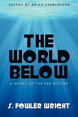 The World Below: A Novel of the Far Future by Wright, S. Fowler