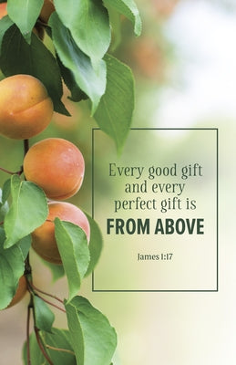 Evangelism Bulletin: Every (Package of 100): James 1:17 (Kjv) by Broadman Church Supplies Staff