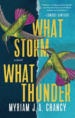 What Storm, What Thunder by Chancy, Myriam J. a.