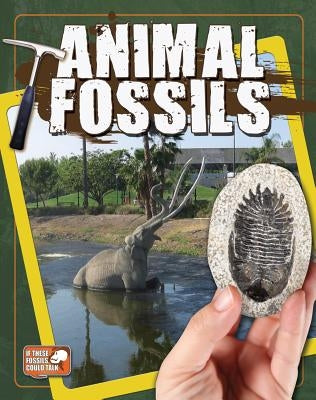 Animal Fossils by Hyde, Natalie