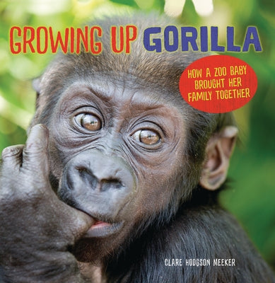 Growing Up Gorilla: How a Zoo Baby Brought Her Family Together by Meeker, Clare Hodgson