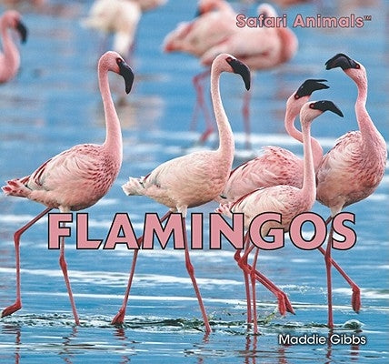 Flamingos by Gibbs, Maddie