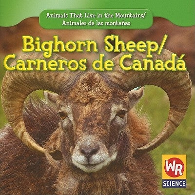 Bighorn Sheep / Carnero de Canadá by Macken, JoAnn Early