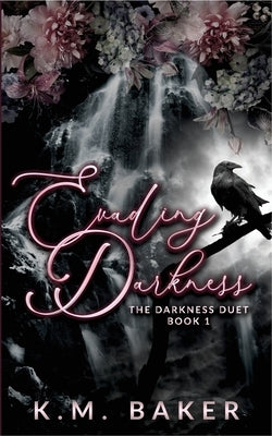 Evading Darkness by Baker, K. M.